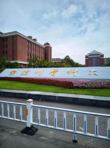 浙江低分一本大学名单-2025浙江压线一本公办学校（15所）