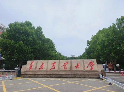 山东低分一本大学名单-2025上东压线一本公办学校（20所）