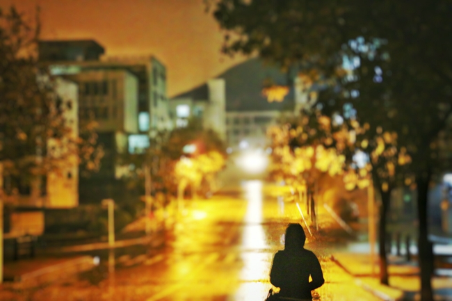 2024年武汉城市职业学院在