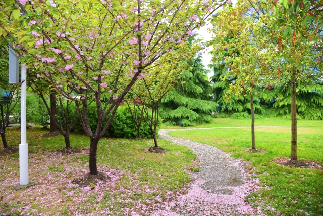 2024年对外经济贸易大学在云南录取分数线（附近几年最低位次排名）