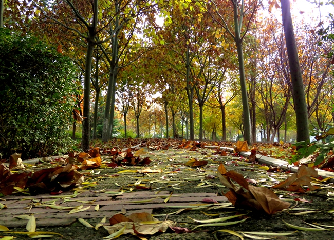 2024年广州大学在云南录取分数线（附近几年最低位次排名）