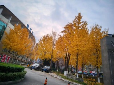 重庆市公办专科大学名单一览表（最新完整版名单，2026年参考）