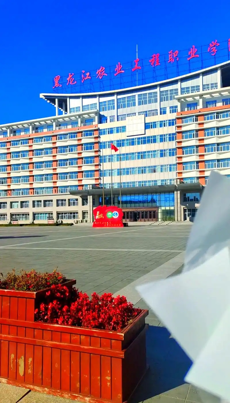 黑龙江公办专科最低162分能上?2025公办专科名单及分数详解