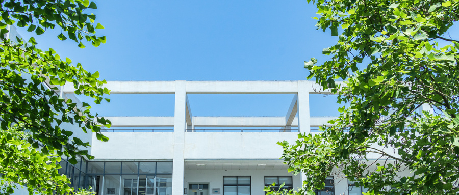 2025 山东省属公费师范生分数线出炉！热门院校专业竞争有多激烈？