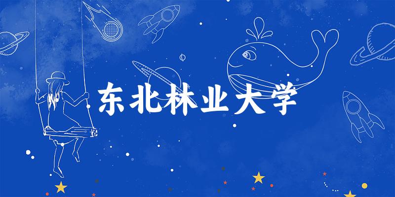 2025东北林业大学在云南招生计划及录取分数线位次分析