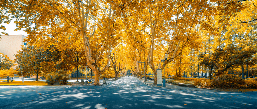 2026黑龙江高考军校报考全流程（含报考条件+时间+体检要求）