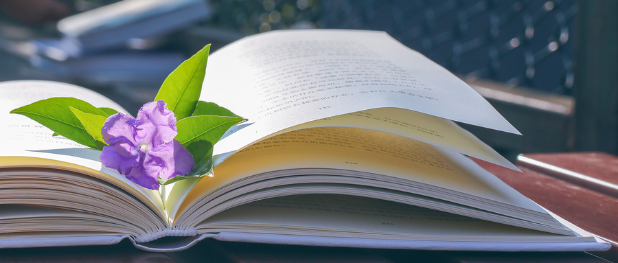 江苏省公办专科大学排名及分数线汇总（2025年最新榜单）