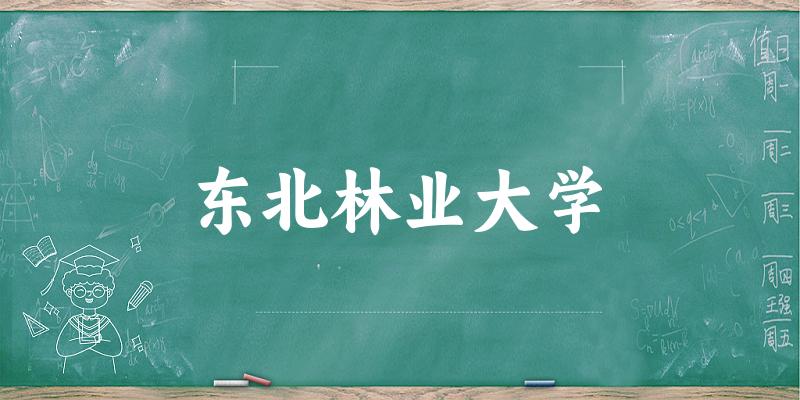 2025东北林业大学在天津招生计划及录取分数线位次分析
