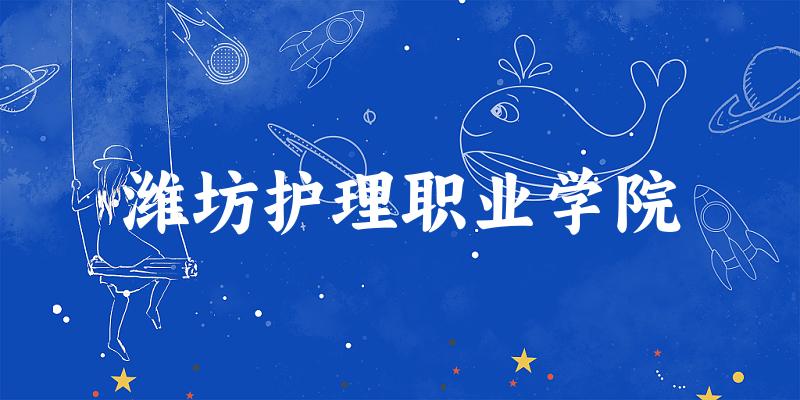 2025年潍坊护理职业学院录取分数线多少分？最低315分能上