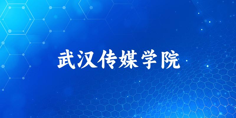 2025武汉传媒学院在河南招生计划及录取分数线位次分析