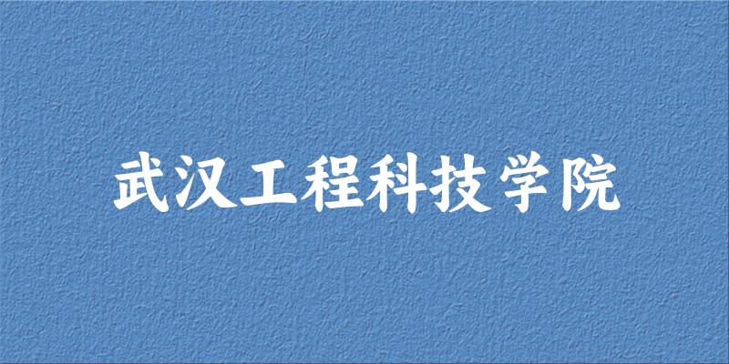武汉工程科技学院2025年全国各省录取分数线与位次排名汇总！含省内及省外