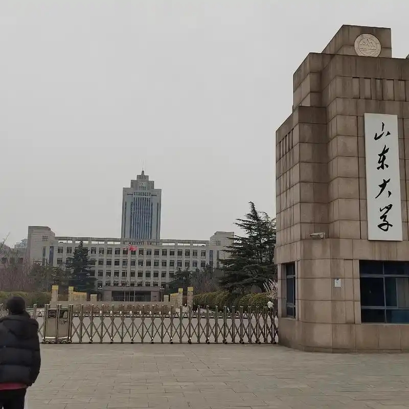 山东公办/民办本科大学一览表 2025录取分数线汇总