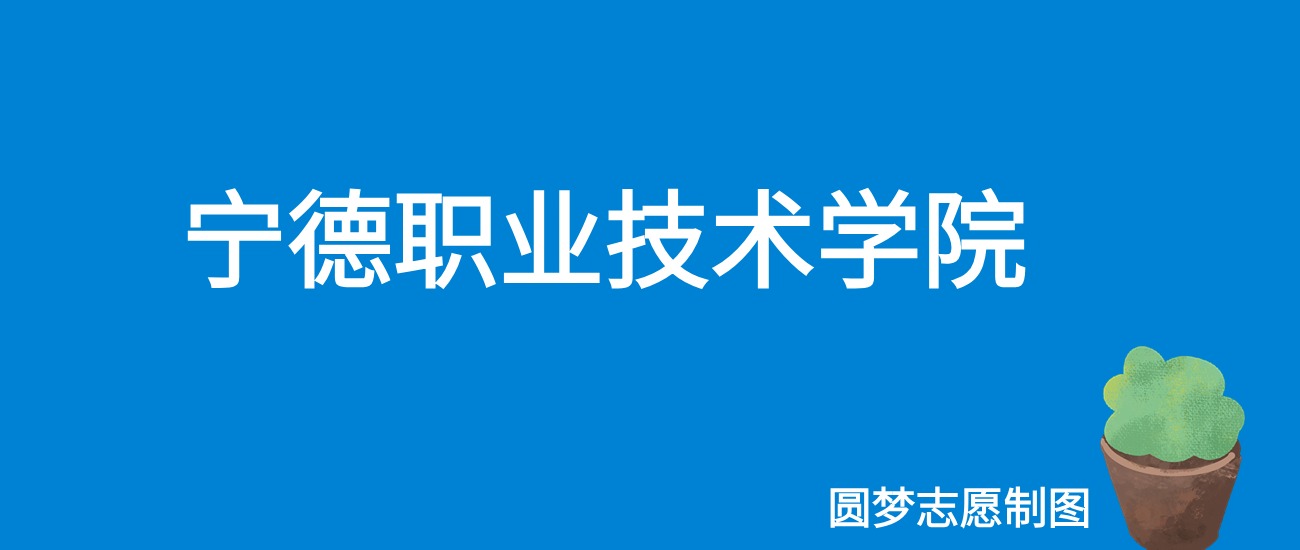 宁德职业技术学院2025年录取分数线（全国各省，2026参考）