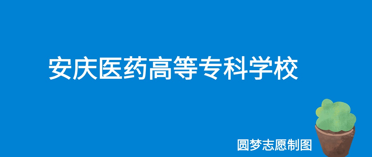 2025安庆医药高等专科学校录取分数线（全国各省最低分及位次）