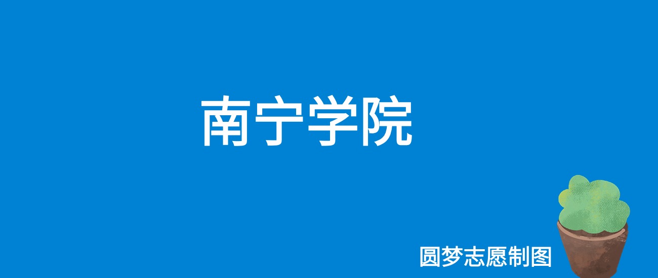 南宁学院2025年录取分数线（全国各省，2026参考）