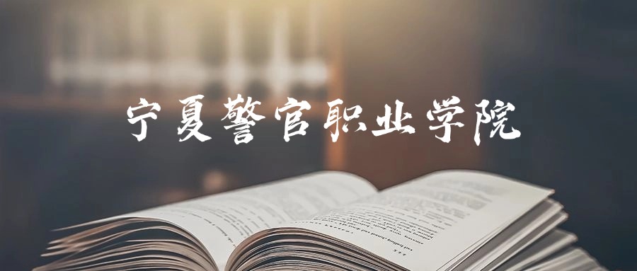 宁夏警官职业学院2025年录取分数线是250分-456分