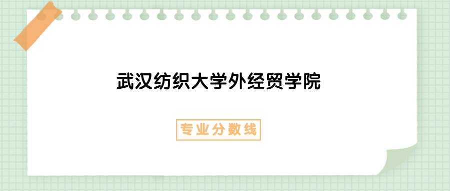 2025年武汉纺织大学外经贸学院电子商务专业录取分数线、选科要求