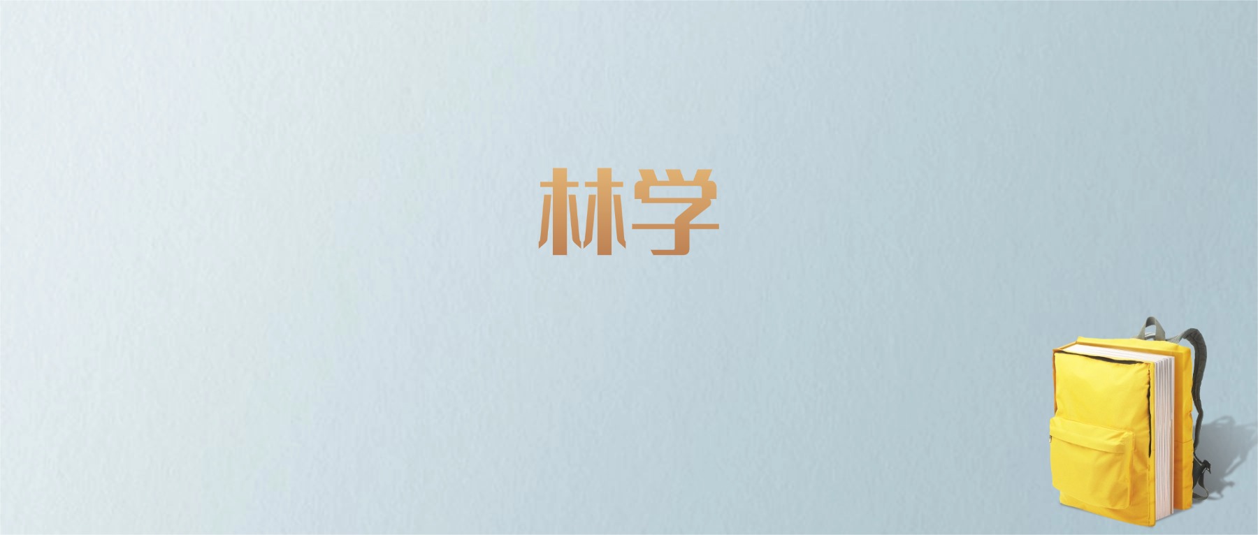 山东林学专业大学排名及分数线！含最好的一本
