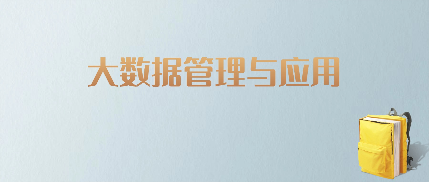上海大数据管理与应用专业大学排名及分数线！含最好的一本