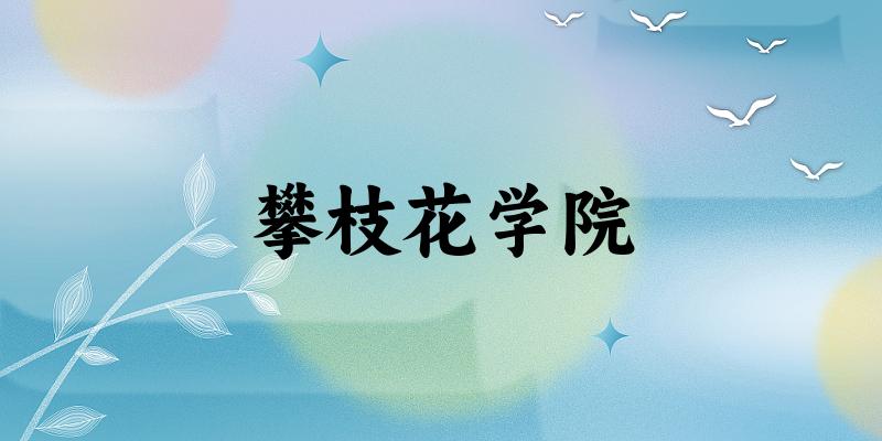 2025攀枝花学院在天津招生计划及录取分数线位次分析