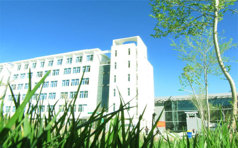 新疆民办本科院校有哪些？2025 录取分数线整理