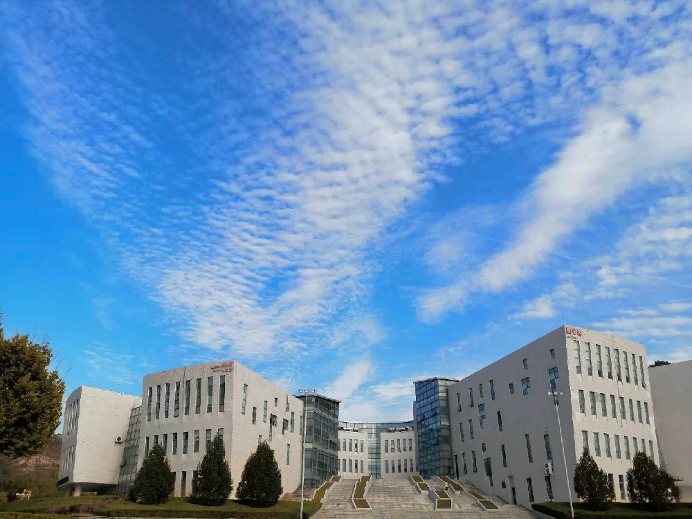 上海交通大学2024年在河北录取分数线、对应位次（附近几年最低录取分数线及位次排名）