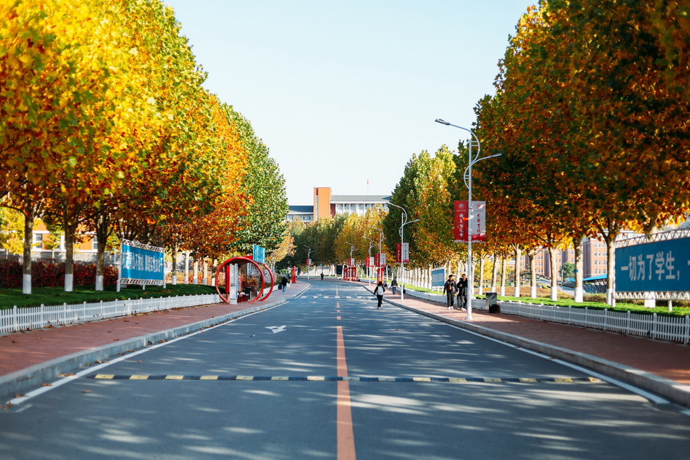 东南大学2024年在山东各专业录取分数线（附院校录取分数线录取位次）