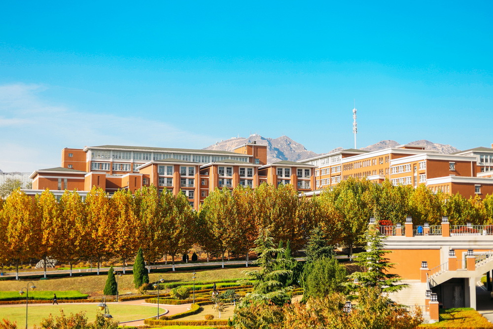 云南大学2024年在山东各专业录取分数线（附院校录取分数线录取位次）
