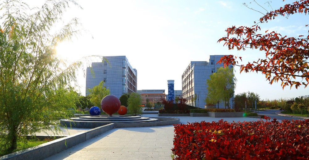 东北大学秦皇岛分校2024年在四川录取分数线、对应位次（附近几年最低录取分数线及位次排名）