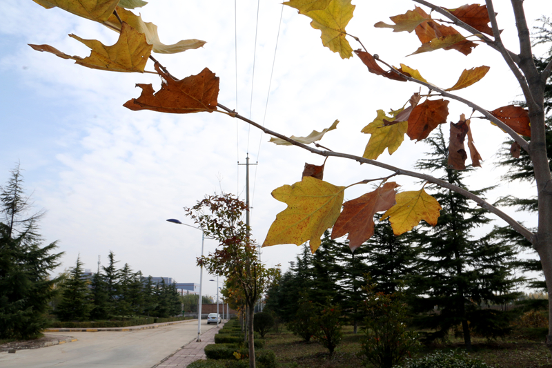 2024年广东医科大学在广东录取分数线（附近几年最低位次排名）