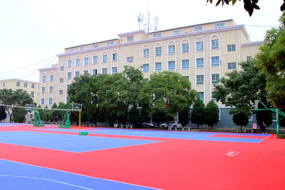 成都文理学院2024年在山西录取分数线、对应位次（附近几年最低录取分数线及位次排名）