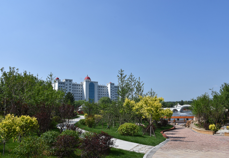 2024年沈阳化工大学在辽宁录取分数线（附近几年最低位次排名）