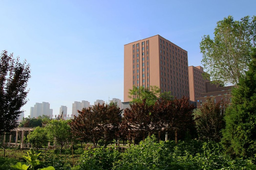2024年郑州师范学院在广西录取分数线（附近几年最低位次排名）