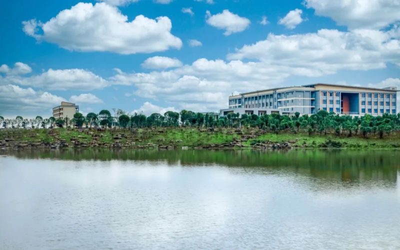 2024年北京林业大学在广西录取分数线（附近几年最低位次排名）
